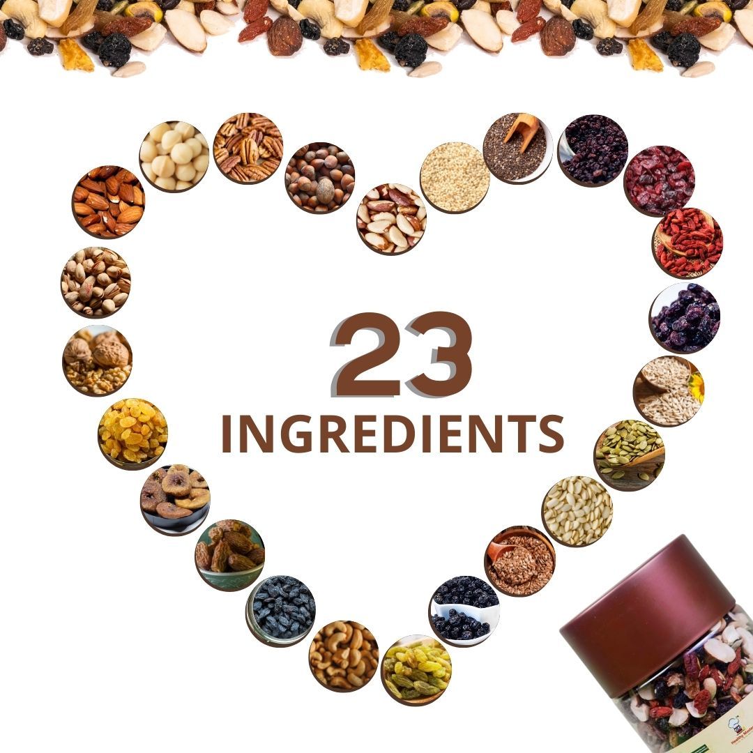 Healthy Master Vision To Serve Healthy Daily Power Booster (Hazel Nuts, Brazil Nuts, Almonds, Walnuts, Blue Berry), 300 gm