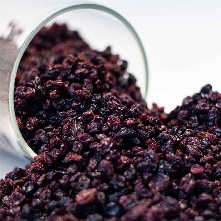 Healthy Master Naturally Dried Black Berry, 500 gm